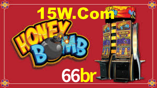 Programa VIP 66br