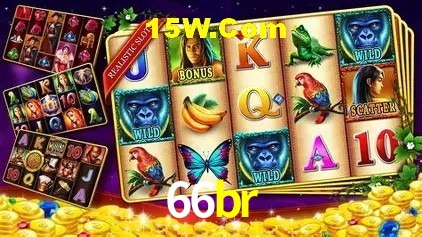 66br